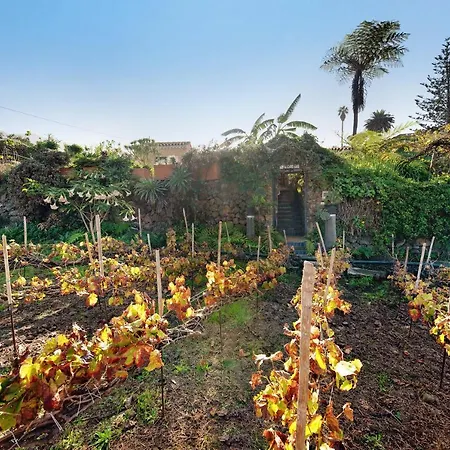 Casa Eco Con Vistas Al Teide * La Orotava